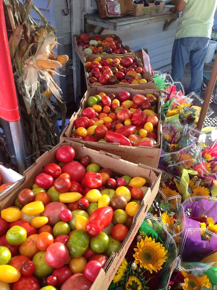 ariemmas-garden-center-staten-island-fresh-produce-shopping