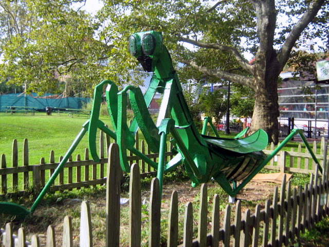 staten island children's museum francis the praying mantis