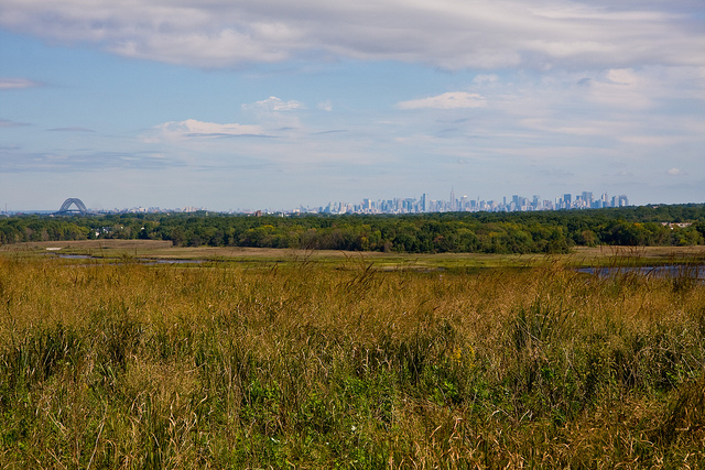 FreshKills_StatenIsland1_Sibor