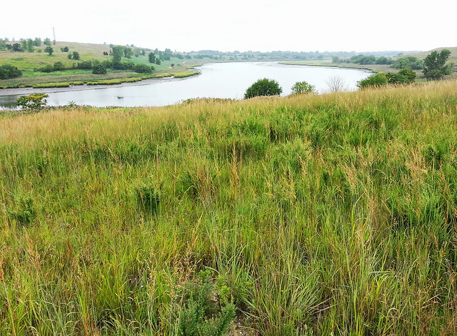 FreshKills_StatenIsland2_Sibor