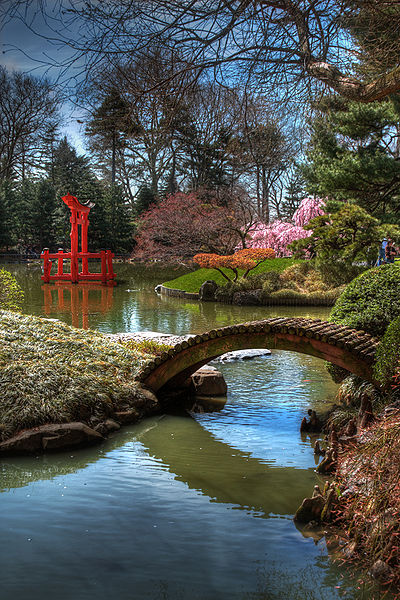 brooklyn botanic garden japanese garden