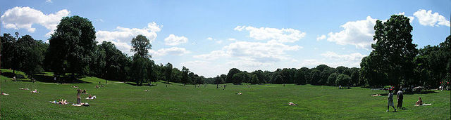 prospect park meadow