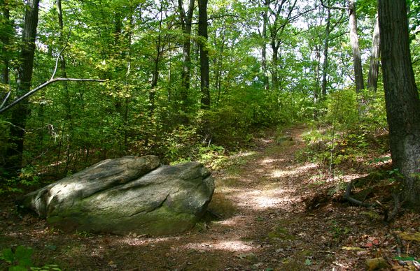 staten-island-greenbelt-park-nature-center-nyc