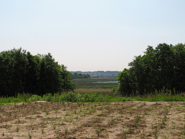 staten island greenbelt