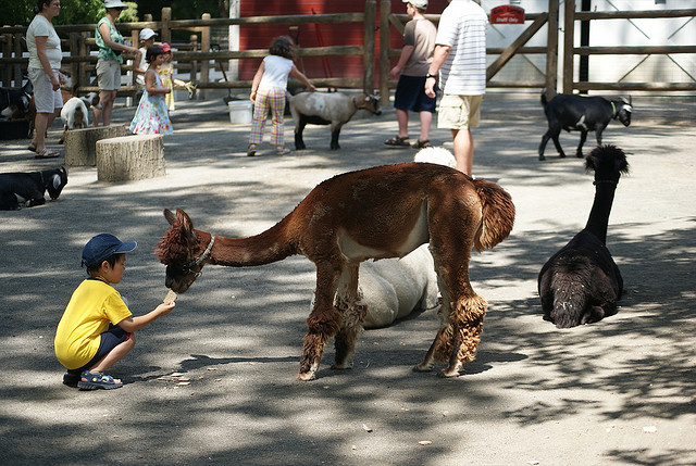 staten-island-zoo