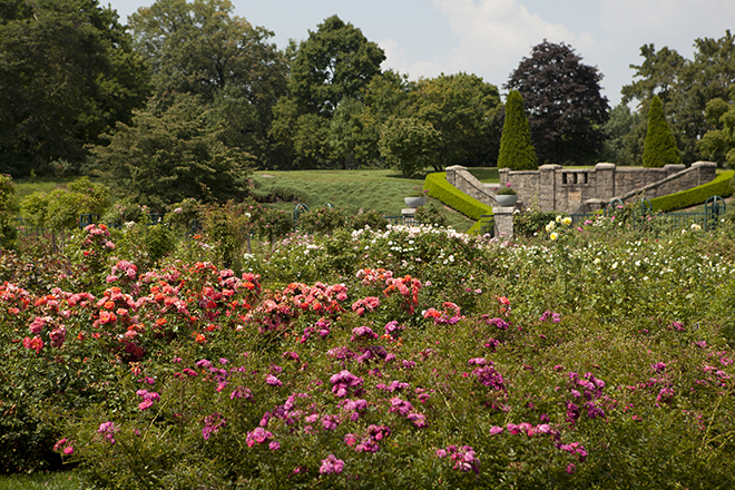 new-york-botanical-garden