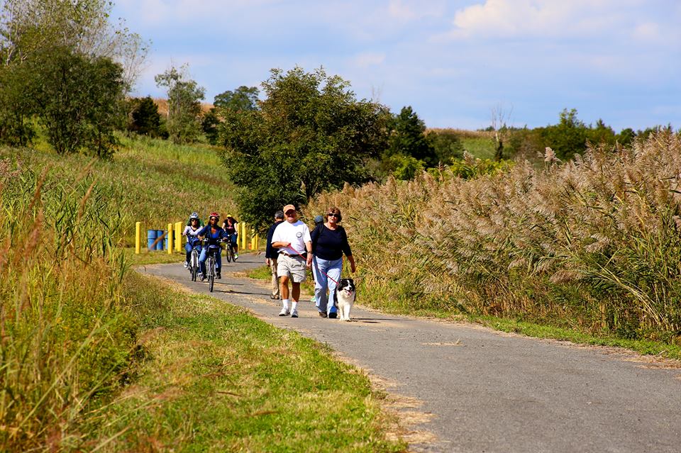 freshkills-park-sneak-peak-greenway-staten-island