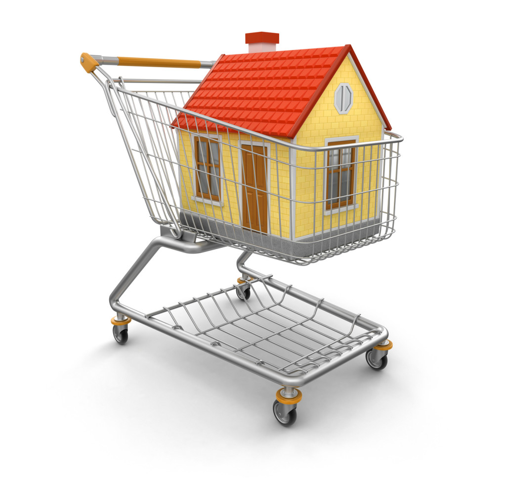 Shopping Cart and House (clipping path included)