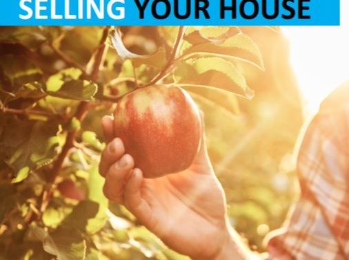 Staten Island’s Autumn 2020 Home Sellers Guide